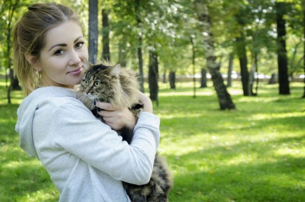 Кошечки и Киски