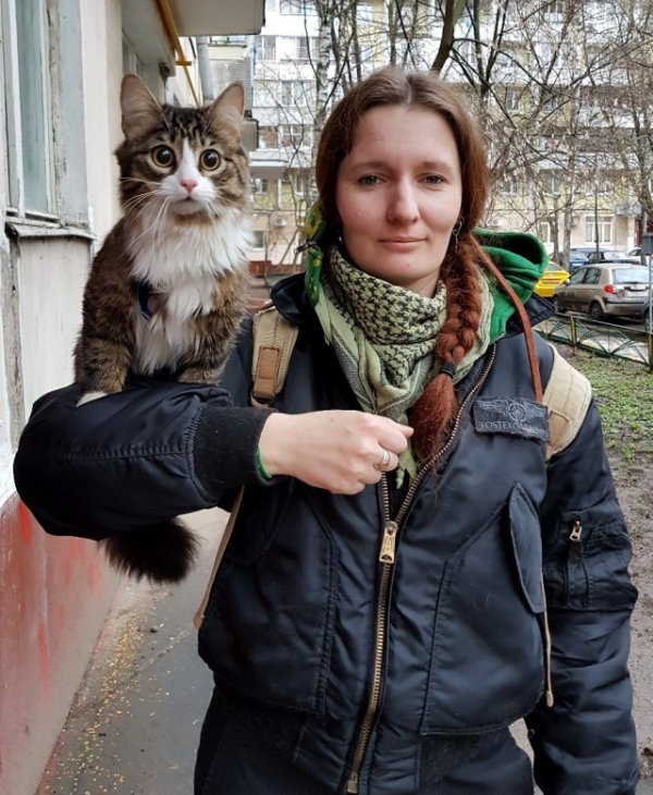 Кошечки и Киски