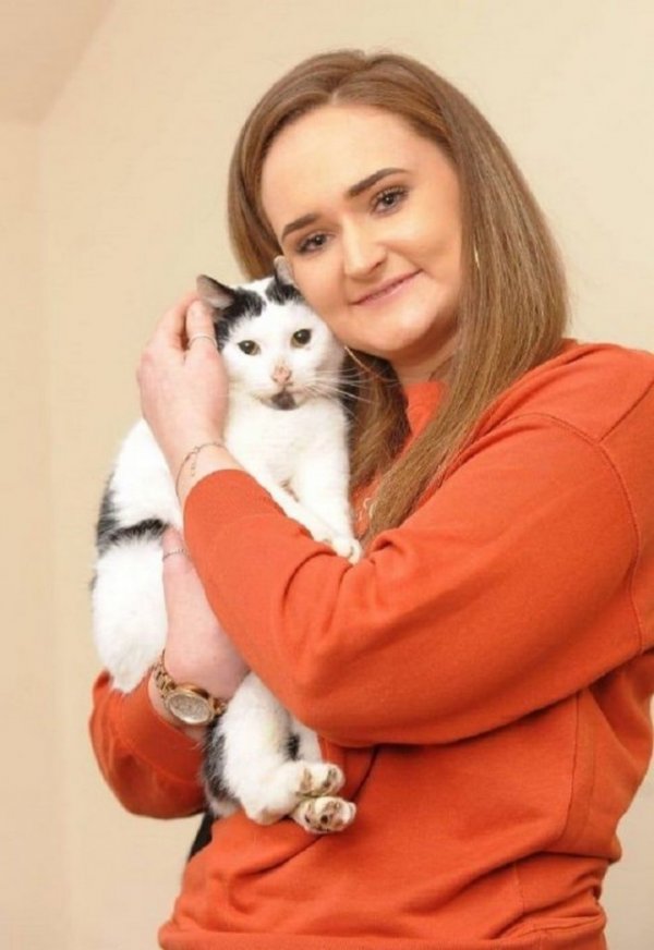 Кошечки и Киски