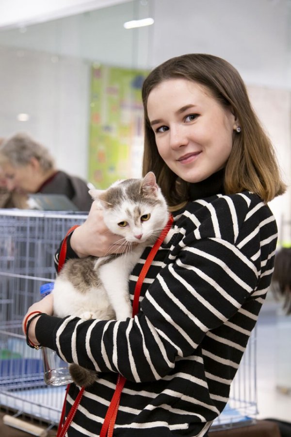 Кошечки и Киски