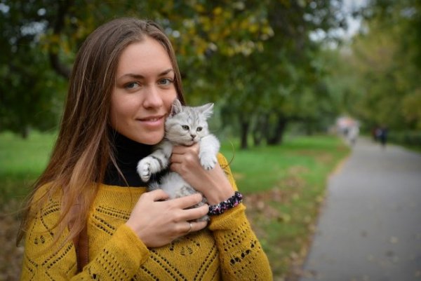 Кошечки и Киски