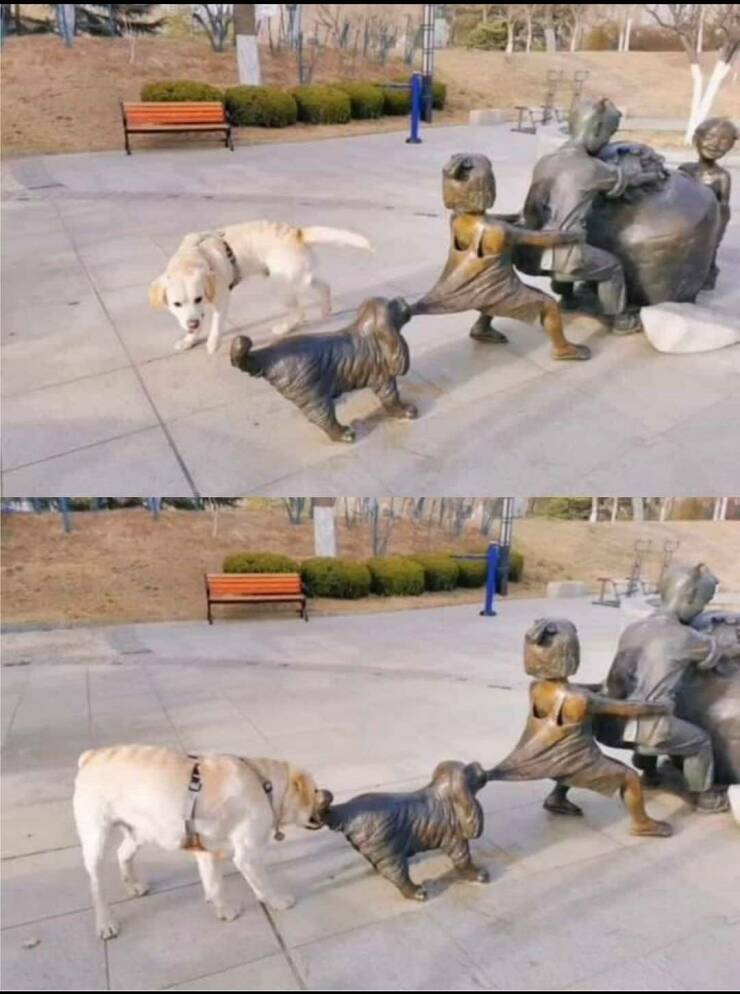 Смешные картинки 26 апреля 2022 года