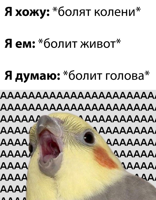 Смешные картинки 27 апреля 2022 года