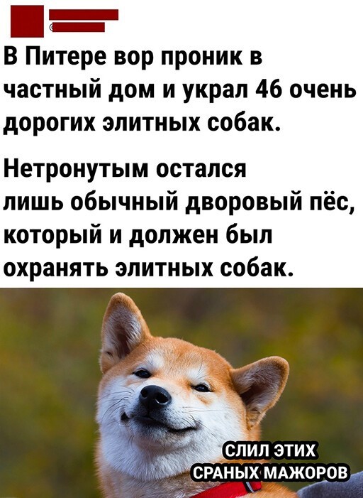 Смешные и познавательные картинки