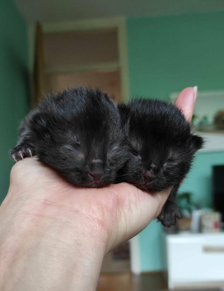 Смешные картинки 28 апреля 2022 года