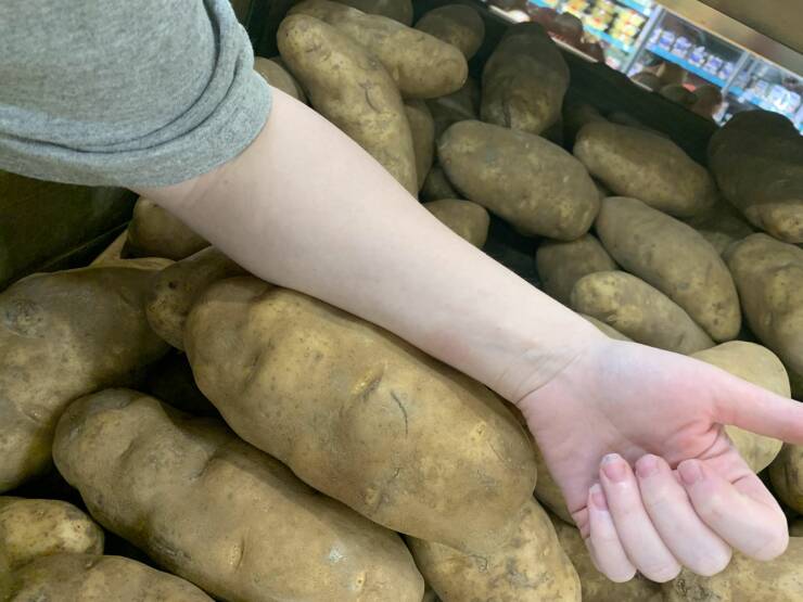 Смешные картинки 28 апреля 2022 года