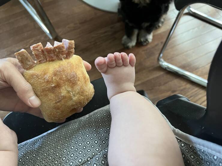 Смешные картинки 28 апреля 2022 года