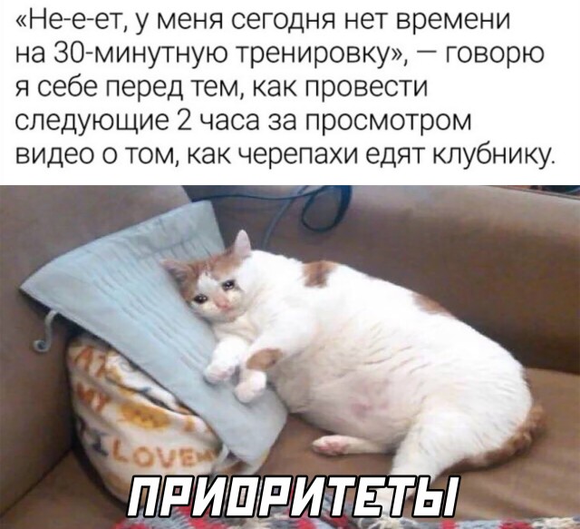 Смешные картинки 28 апреля 2022 года