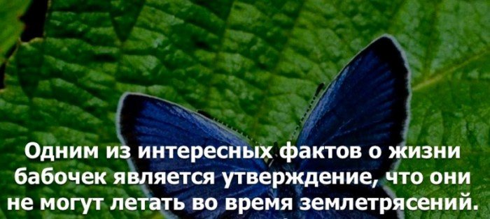 Краткие факты и интересные фотографии