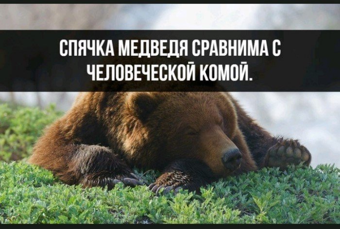 Краткие факты и интересные фотографии