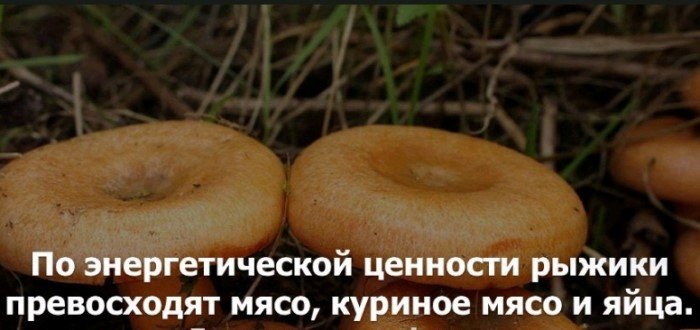 Краткие факты и интересные фотографии