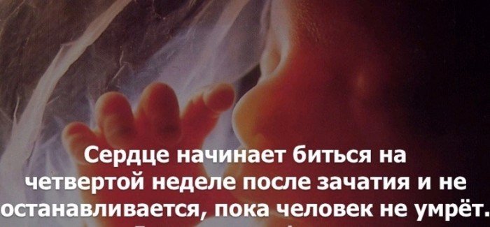 Краткие факты и интересные фотографии