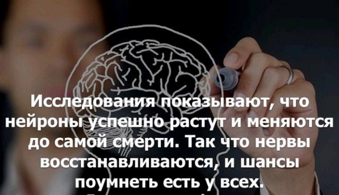 Краткие факты и интересные фотографии