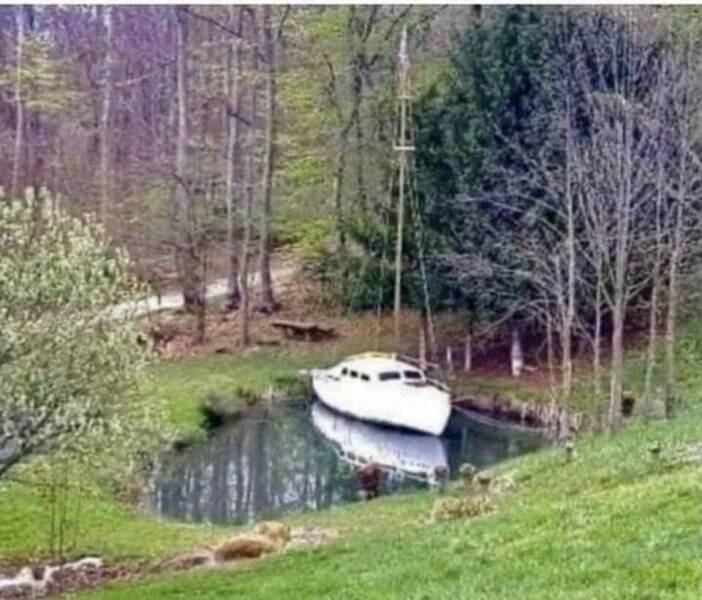 Смешные картинки 5 мая 2022 года