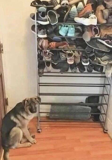 Смешные картинки 5 мая 2022 года