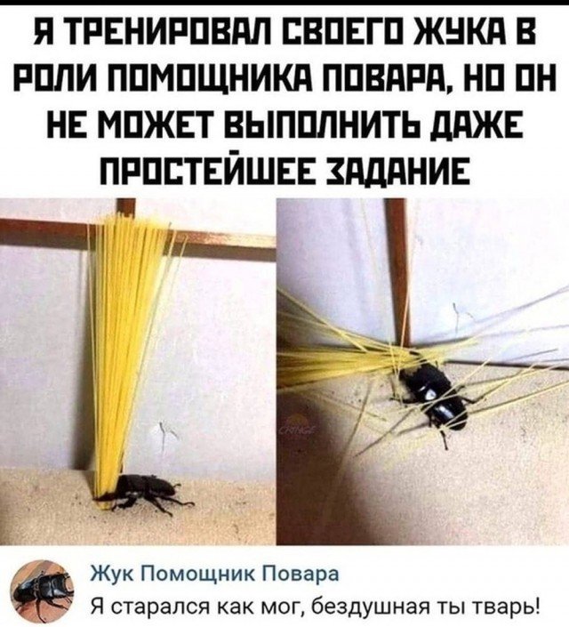 Смешные комментарии