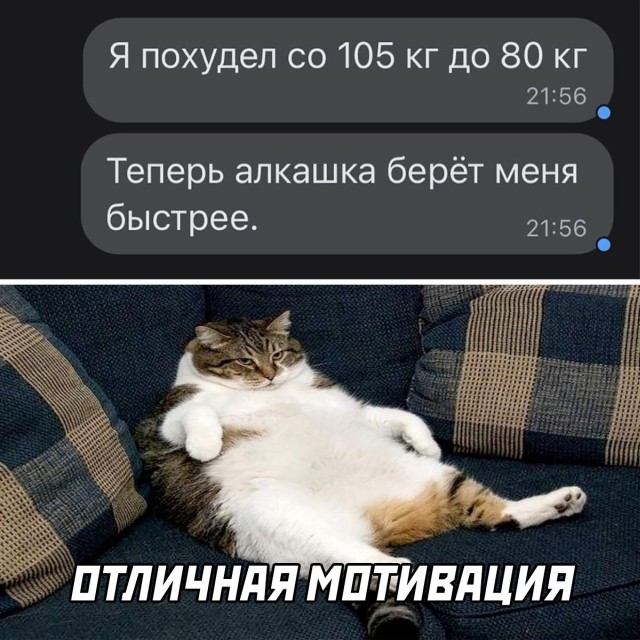 Смешные картинки 6 мая 2022 года