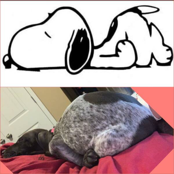 Смешные картинки 6 мая 2022 года