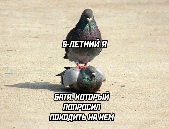 Смешные картинки 6 мая 2022 года