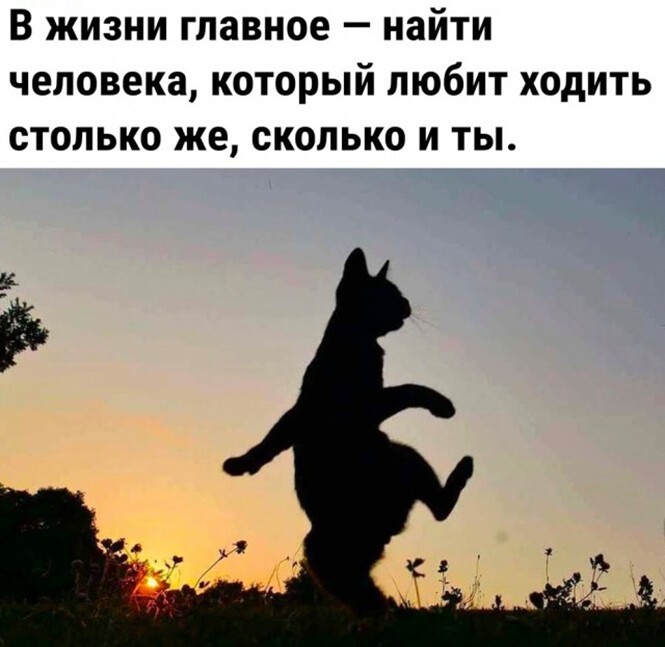 Смешные и познавательные картинки