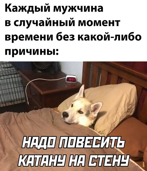 Смешные и познавательные картинки