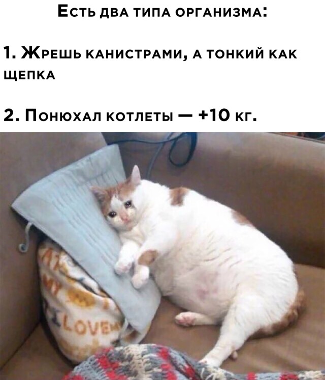 Смешные картинки 11 мая 2022 года
