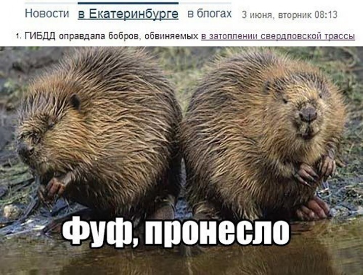 Смешные и познавательные картинки