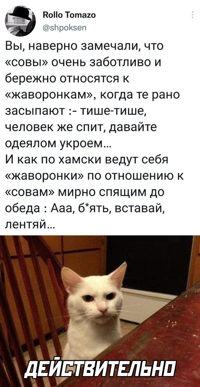 Смешные картинки 13 мая 2022 года