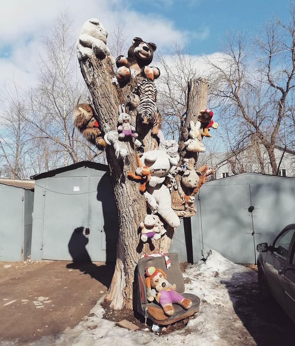 По родным просторам