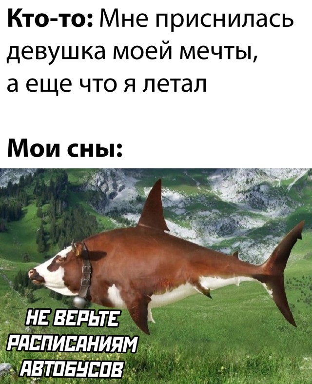 Смешные картинки 17 мая 2022 года