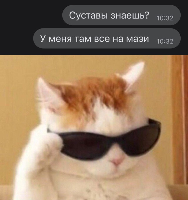 Смешные картинки 17 мая 2022 года
