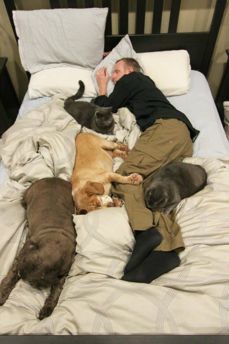 Смешные картинки 18 мая 2022 года