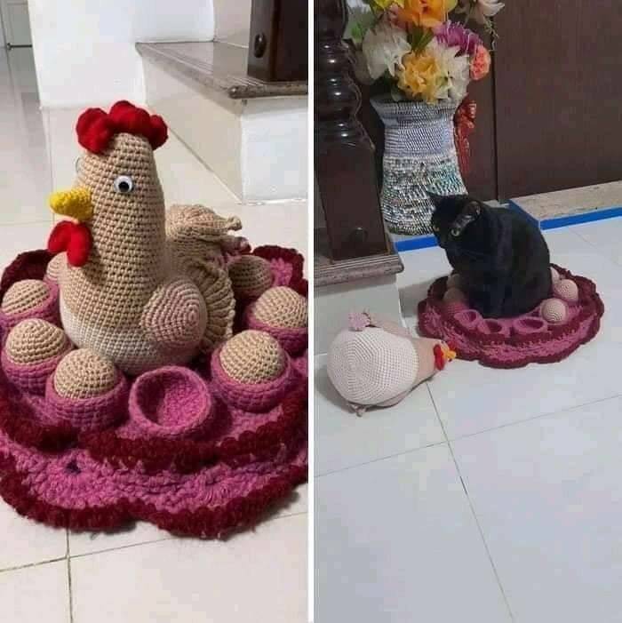 Смешные картинки 18 мая 2022 года