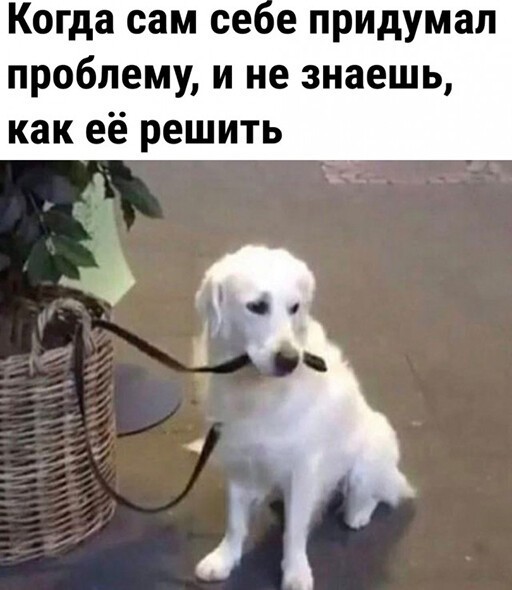 Смешные и познавательные картинки