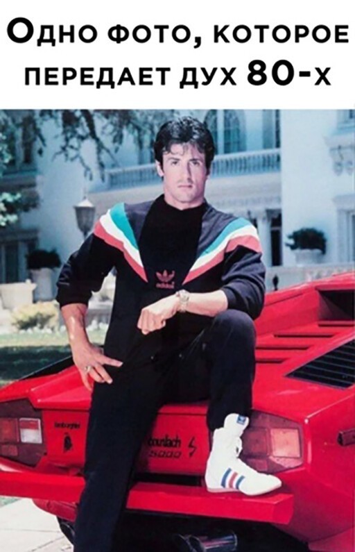 Смешные и познавательные картинки