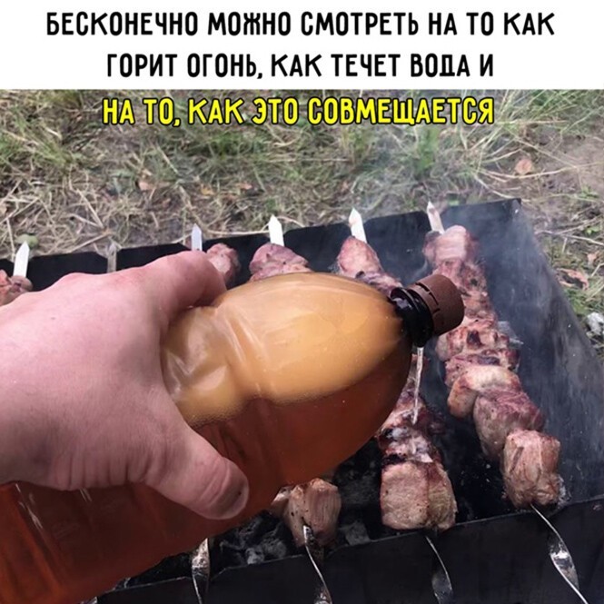 Смешные и познавательные картинки