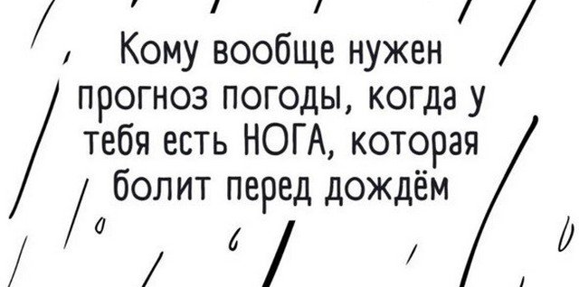 Лучшие шутки и мемы из Сети