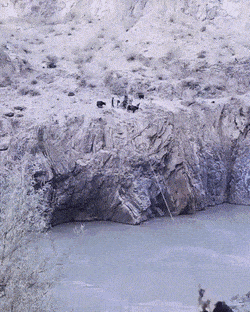 Интересные гифки 20 мая 2022 года