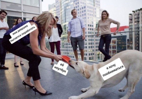 Так себе картинки