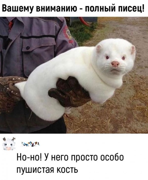 Так себе картинки