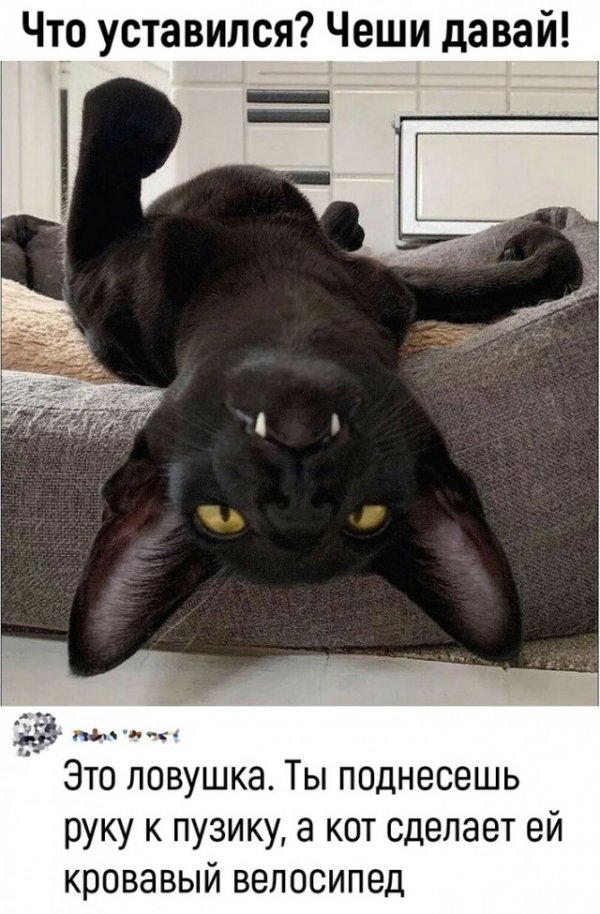 Так себе картинки