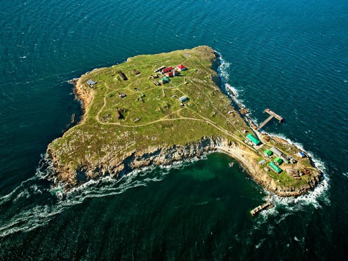 Остров Змeиный. Что это за остров, о котором так часто пишут в новостях?