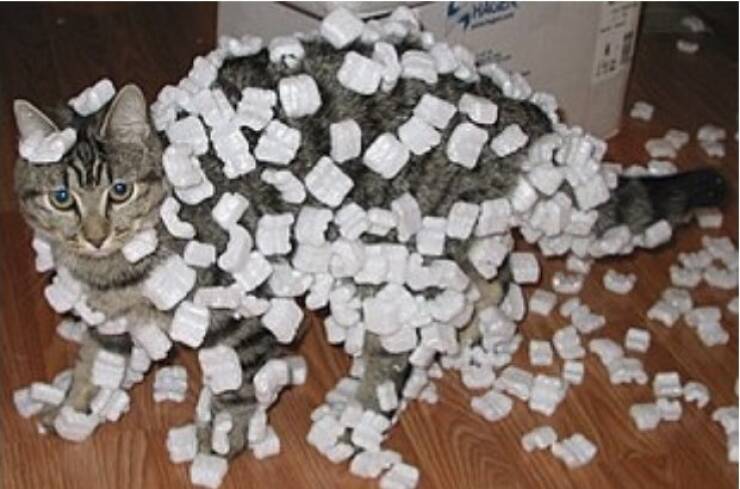 Смешные картинки 25 мая 2022 года