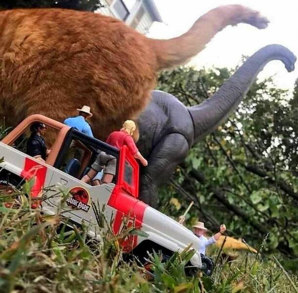 Смешные картинки 30 мая 2022 года