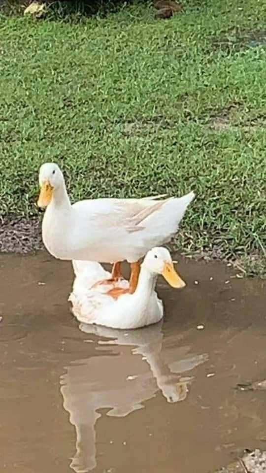 Смешные картинки 30 мая 2022 года