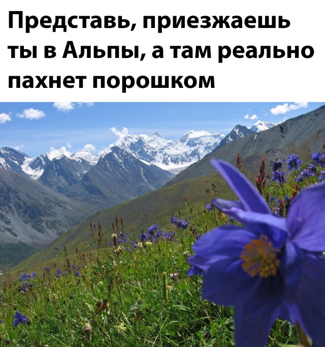 Смешные картинки 1 июня 2022 года
