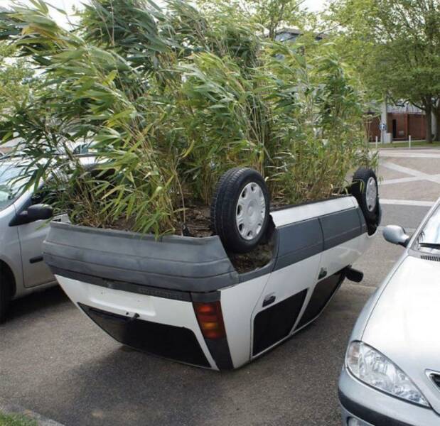 Смешные картинки 1 июня 2022 года