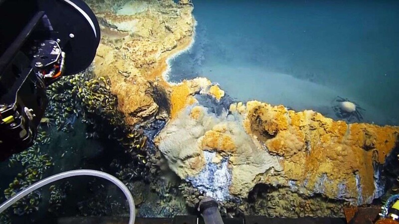 25 не слишком приятных фактов об океане