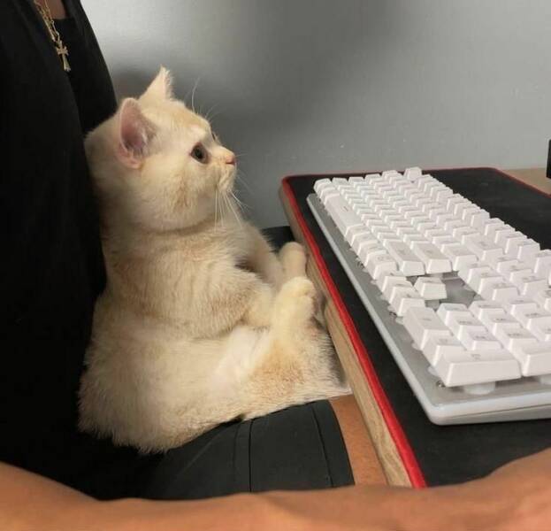 Смешные картинки 2 июня 2022 года