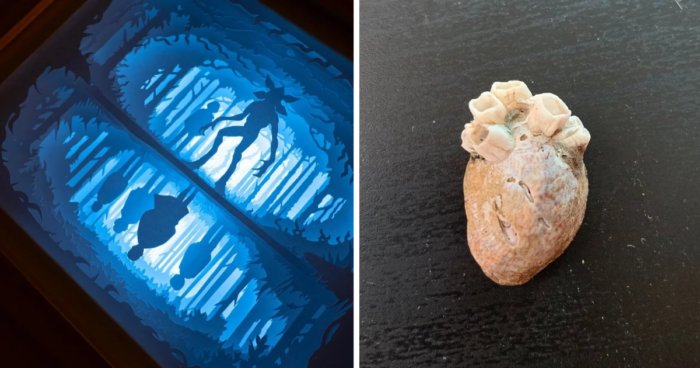 20 фото любопытных штуковин, которыми поделились пользователи сети